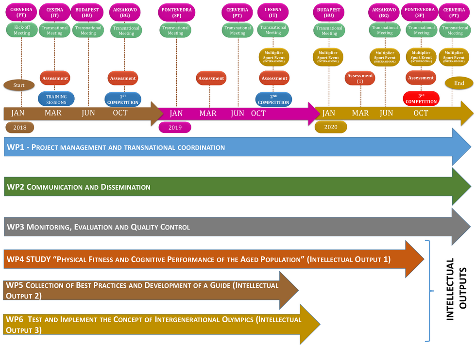 oll4all_general_overview